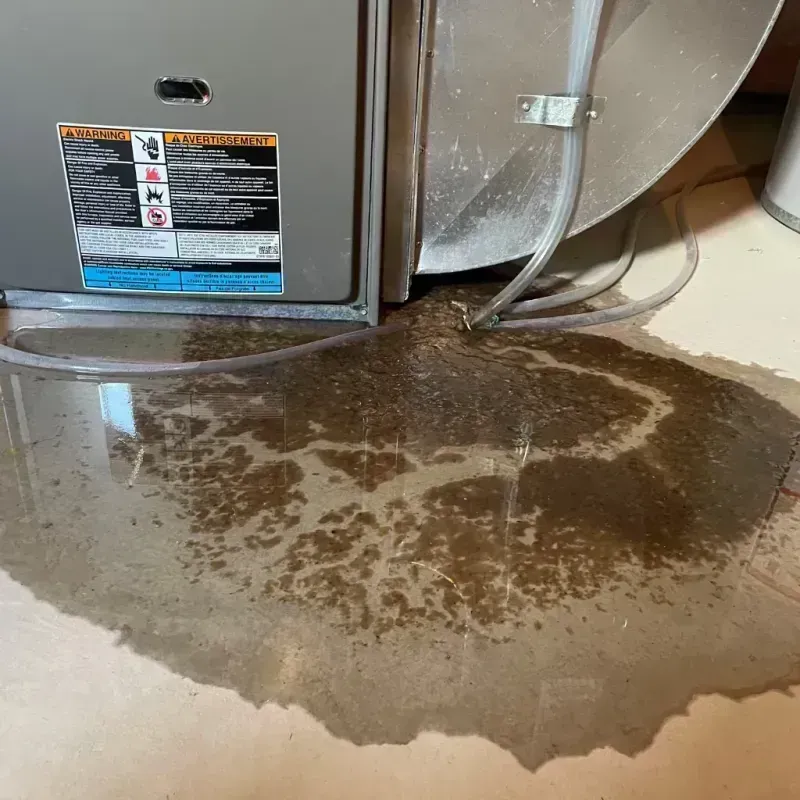 Appliance Leak Cleanup in Luther, OK